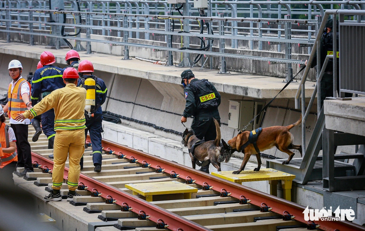 Police dogs are mobilized to find victims. Photo: Chau Tuan / Tuoi Tre