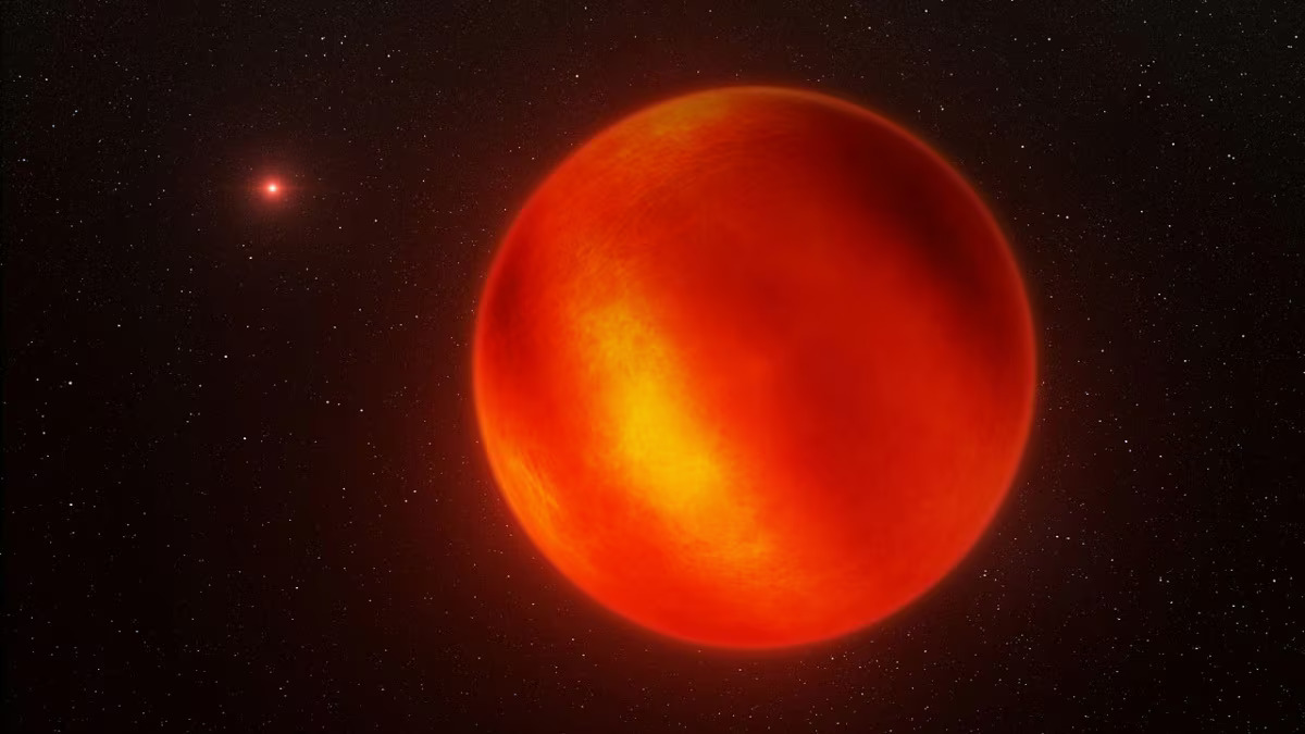 An artist’s illustration shows the nearest brown dwarf to Earth. Photo: Reuters