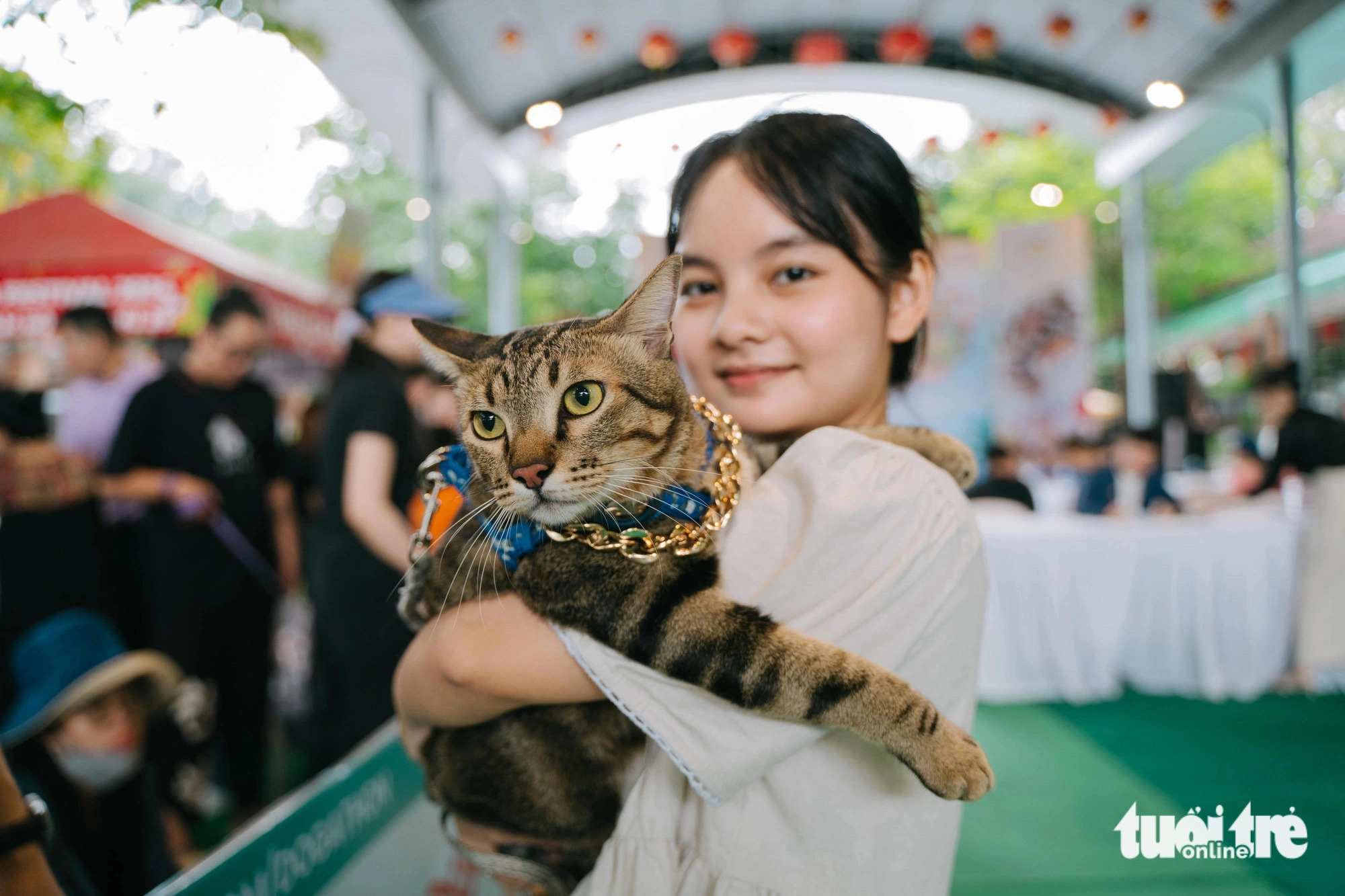 Pet owners dress up their furry friends for Ho Chi Minh City festival