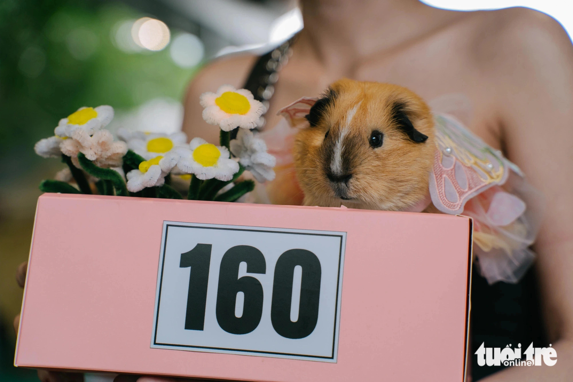 Banh Trung, a hamster wearing a pink wedding dress, joins the Pet Perfect Festival in Ho Chi Minh City, October 20, 2024. Photo: Thanh Hiep / Tuoi Tre