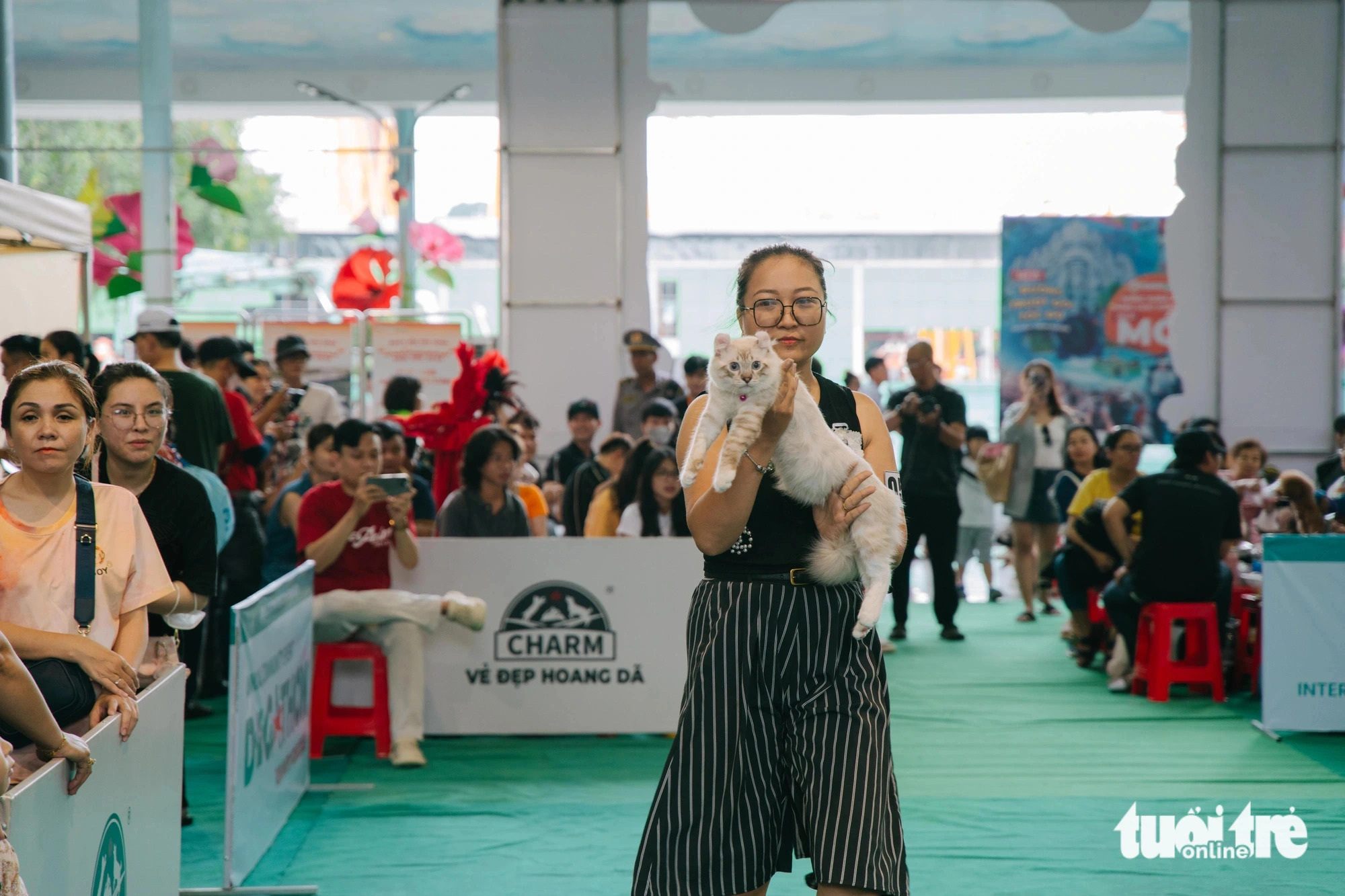 Tony, an American curl cat, walks the stage along with his owner at the Pet Perfect Festival in Ho Chi Minh City, October 20, 2024. Photo: Thanh Hiep / Tuoi Tre