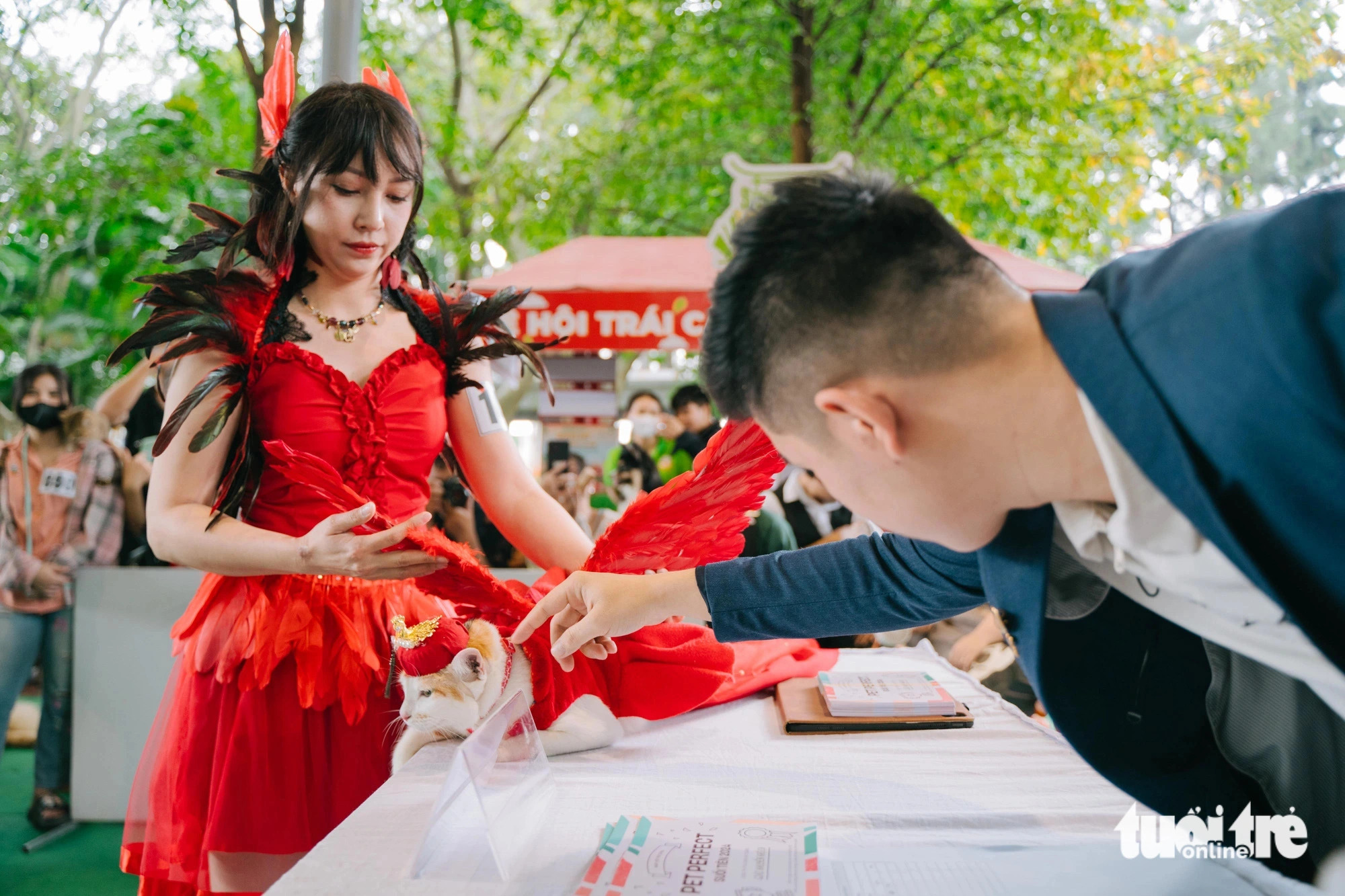 The judges evaluate a cat in a cat fashion contest at the Pet Perfect Festival in Ho Chi Minh City, October 20, 2024. Photo: Thanh Hiep / Tuoi Tre