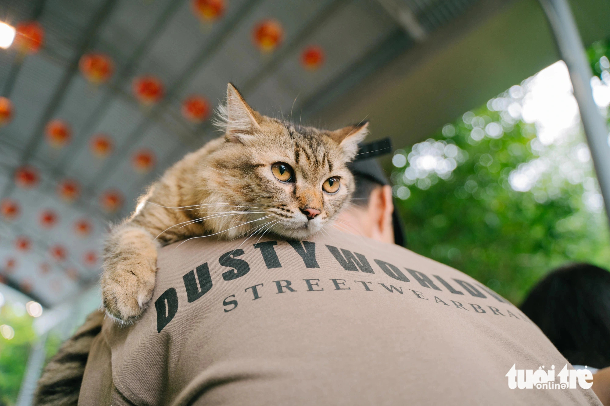 A wide variety of pets from different breeds and sizes bring cuteness to the Pet Perfect Festival in Ho Chi Minh City, October 20, 2024. Photo: Thanh Hiep / Tuoi Tre