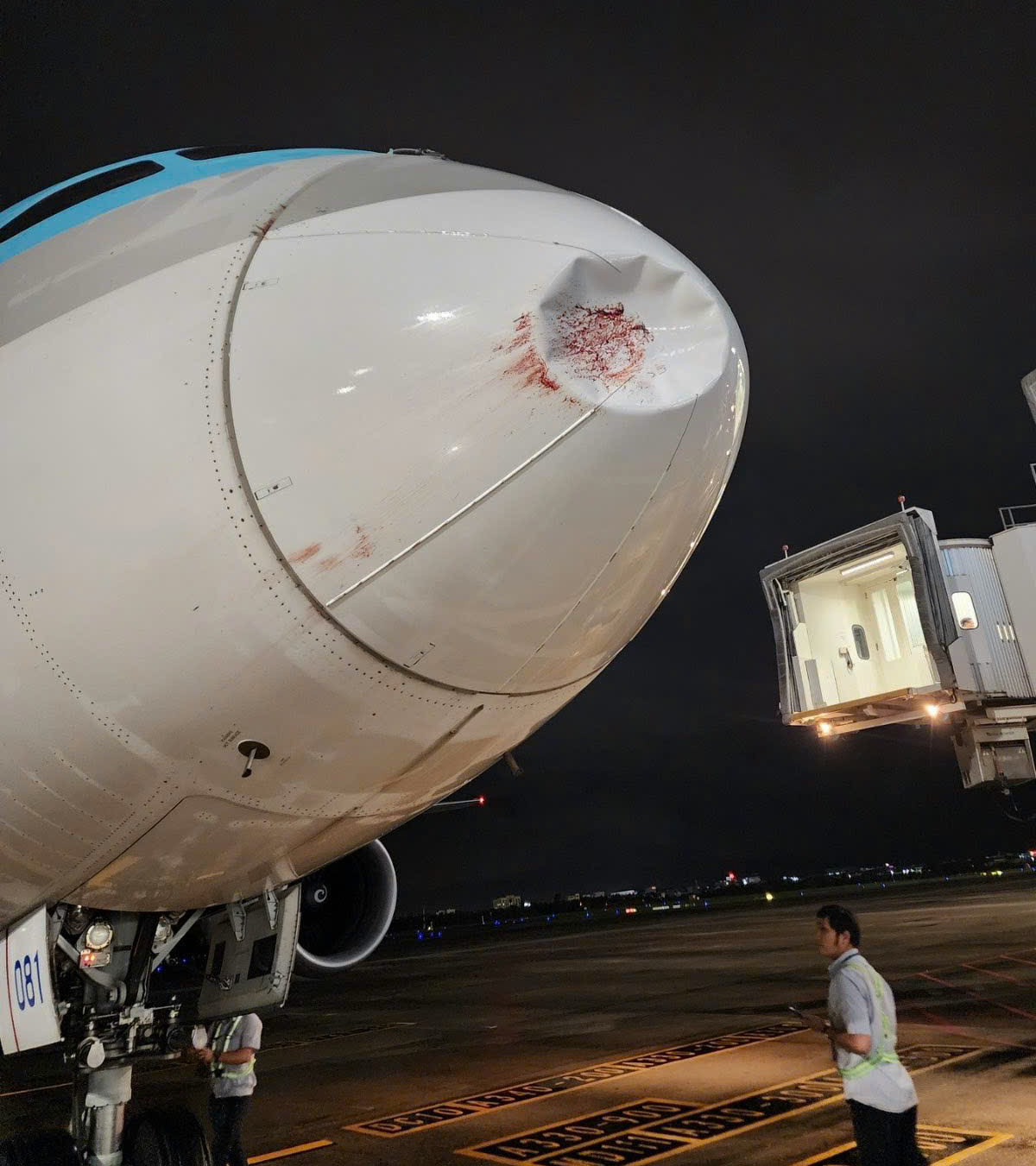 Bird strike damage grounds Korean Air flight in Vietnam