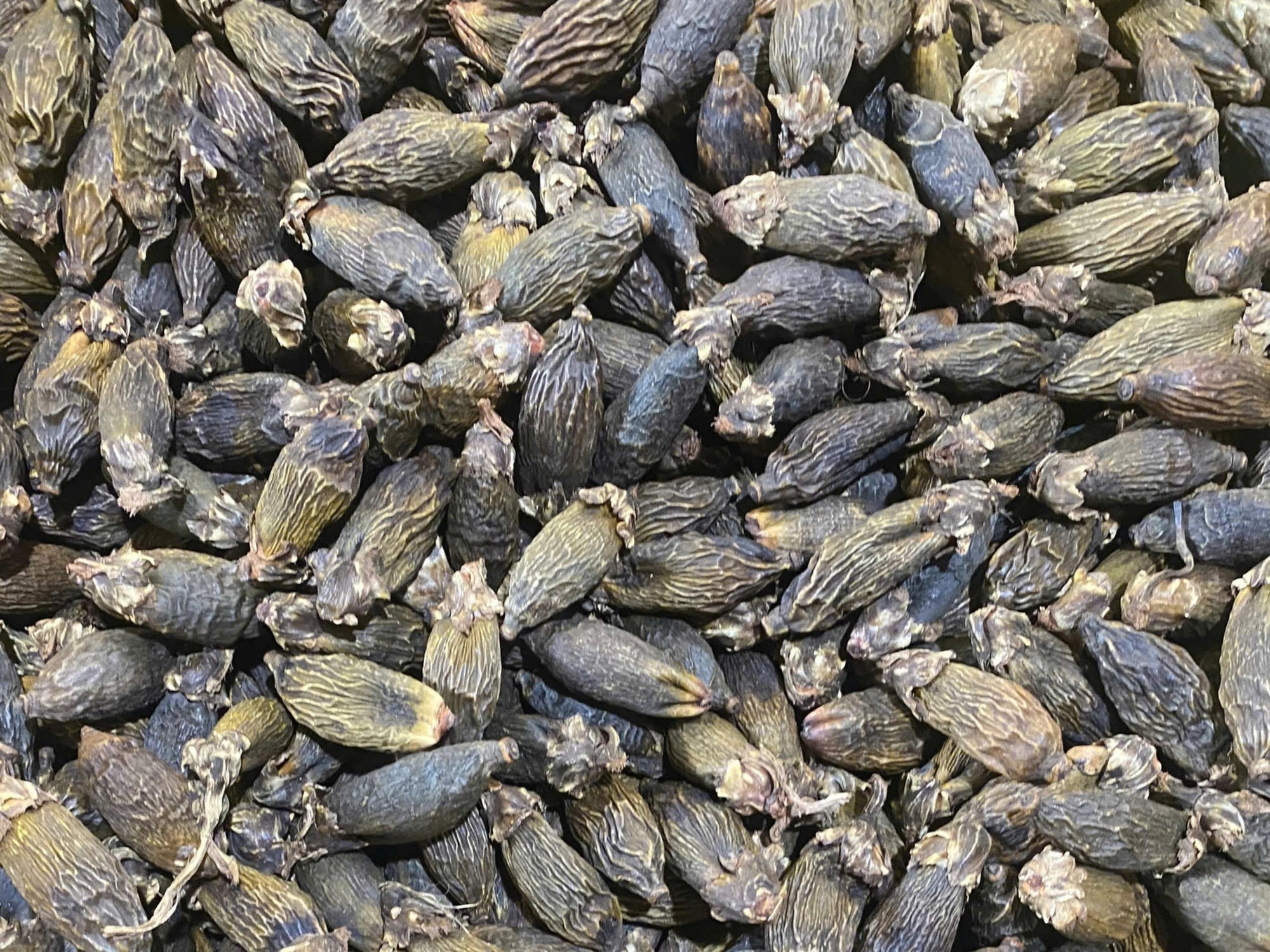 Dried young betel nuts prepared for candy production - Photo: DUONG ANH / Tuoi Tre