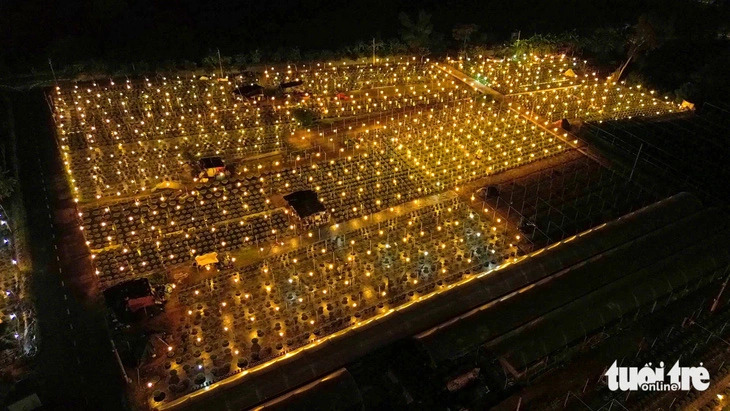 Duong Son Flower Village lights up the night to promote plant growth in Da Nang, central Vietnam. Photo: Thanh Nguyen / Tuoi Tre