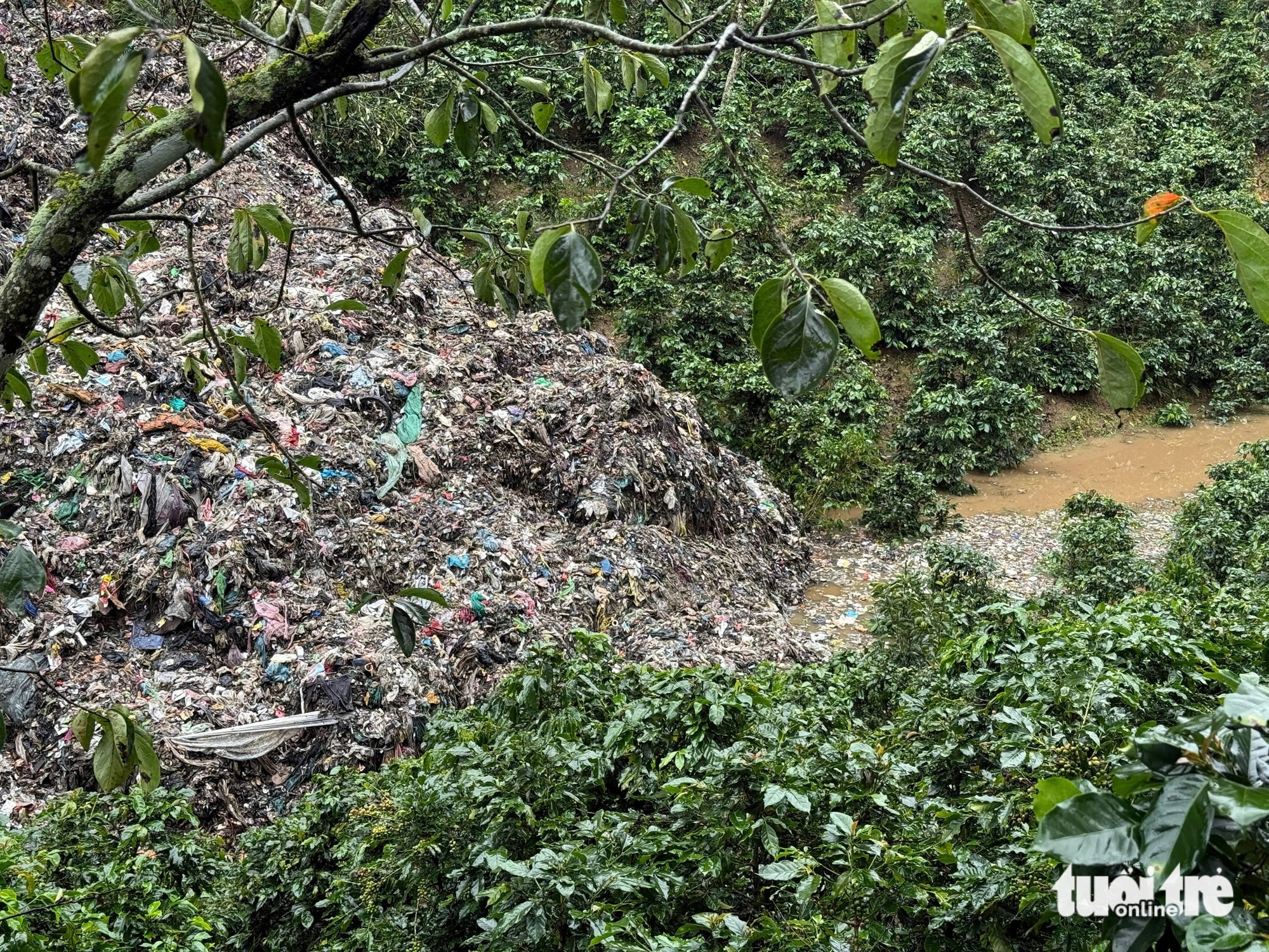 Runoff from a garbage landslide pours into coffee gardens down the Xuan Truong Solid Waste Treatment Plant in Xuan Truong Commune, Da Lat City, Lam Dong Province, Vietnam, October 23, 2024. Photo: M.V. / Tuoi Tre