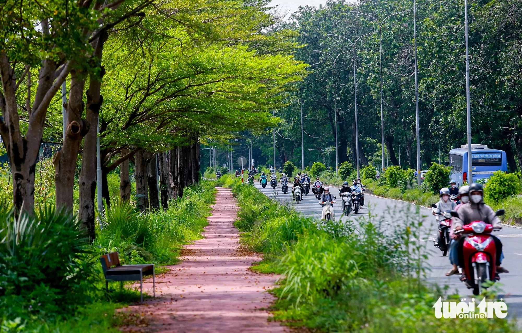 The once overgrown roads surrounding the pit lakes in the VNU-HCM complex have been dramatically transformed into beautiful tree-lined ones. Photo: Le Phan / Tuoi Tre