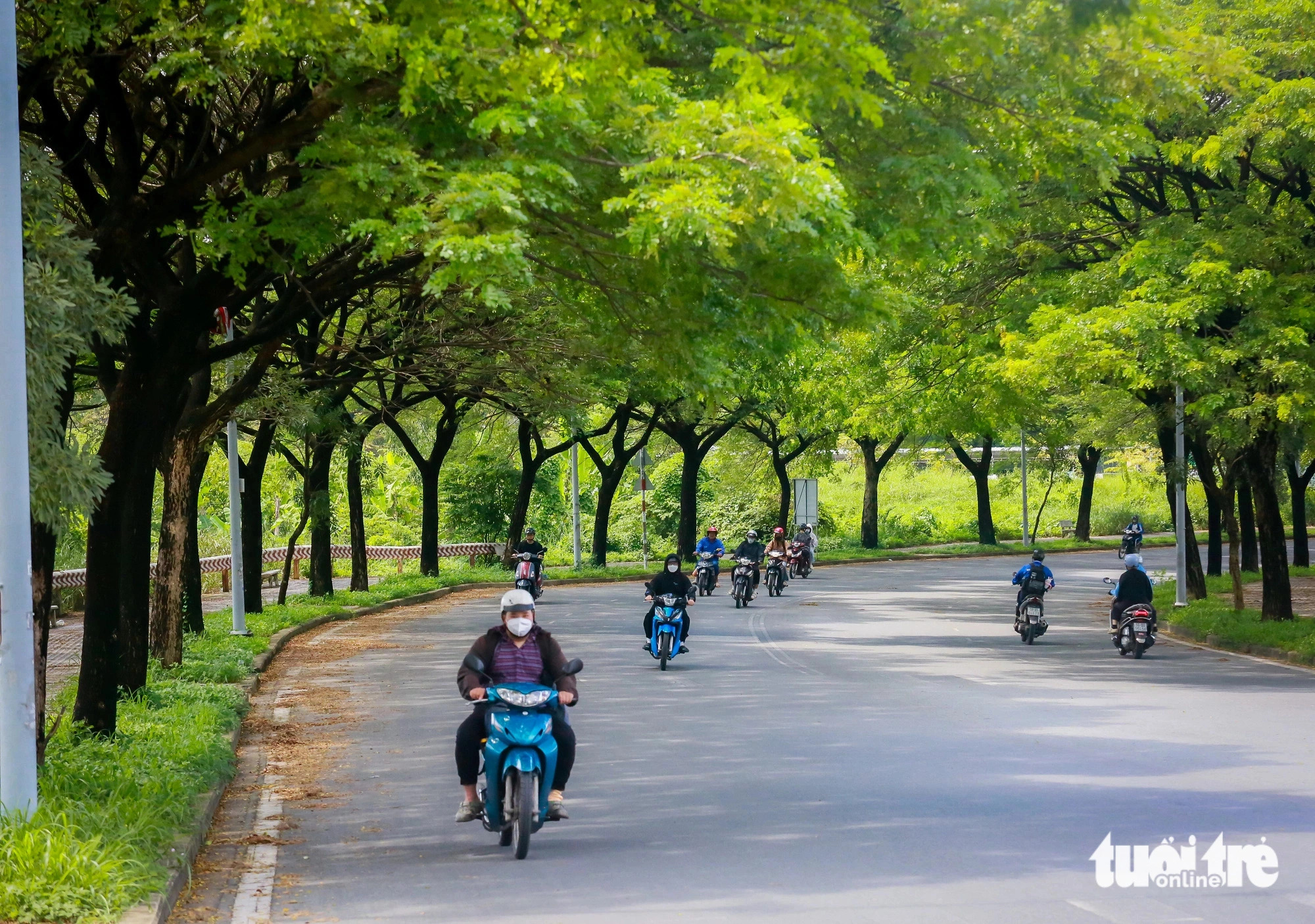 The once overgrown roads surrounding the pit lakes in the VNU-HCM complex have been dramatically transformed into beautiful tree-lined ones. Photo: Le Phan / Tuoi Tre