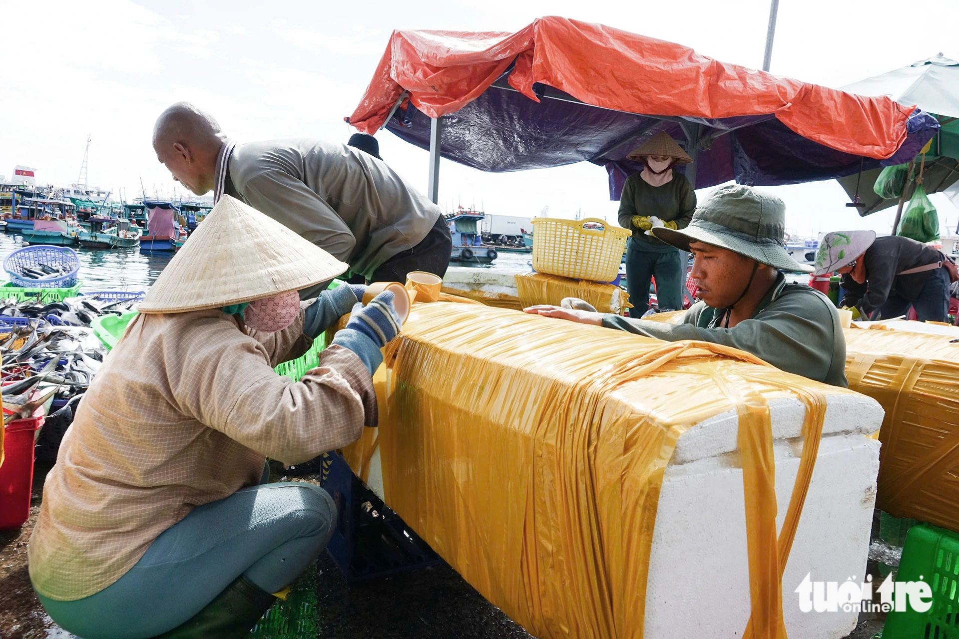 Fishermen package fish at An Thoi fishing port in An Thoi Ward, Phu Quoc City, Kien Giang Province, southern Vietnam, October 23, 2024. Photo: Chi Cong / Tuoi Tre