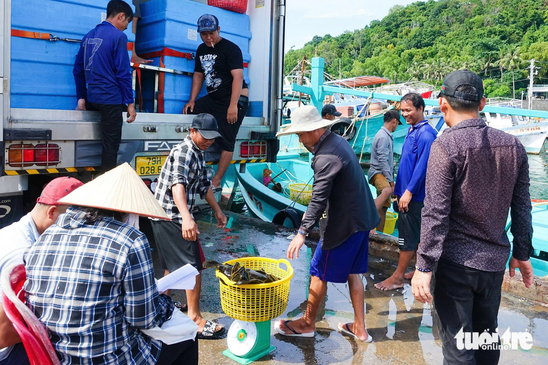 Vendors sell fresh fish at An Thoi fishing port in An Thoi Ward, Phu Quoc City, Kien Giang Province, southern Vietnam, October 23, 2024. Photo: Chi Cong / Tuoi Tre