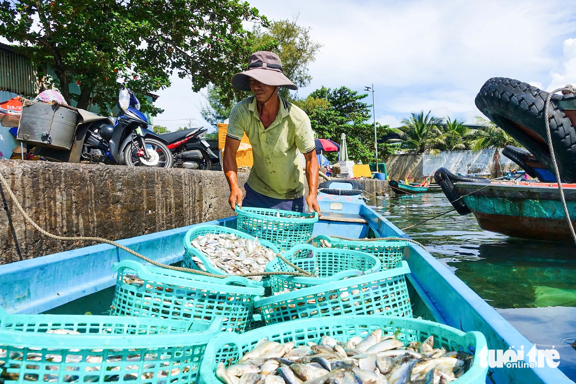 Tran Qui Khanh unloads baskets of fresh fish from his boat at An Thoi fishing port in An Thoi Ward, Phu Quoc City, Kien Giang Province, southern Vietnam, October 23, 2024. Photo: Chi Cong / Tuoi Tre