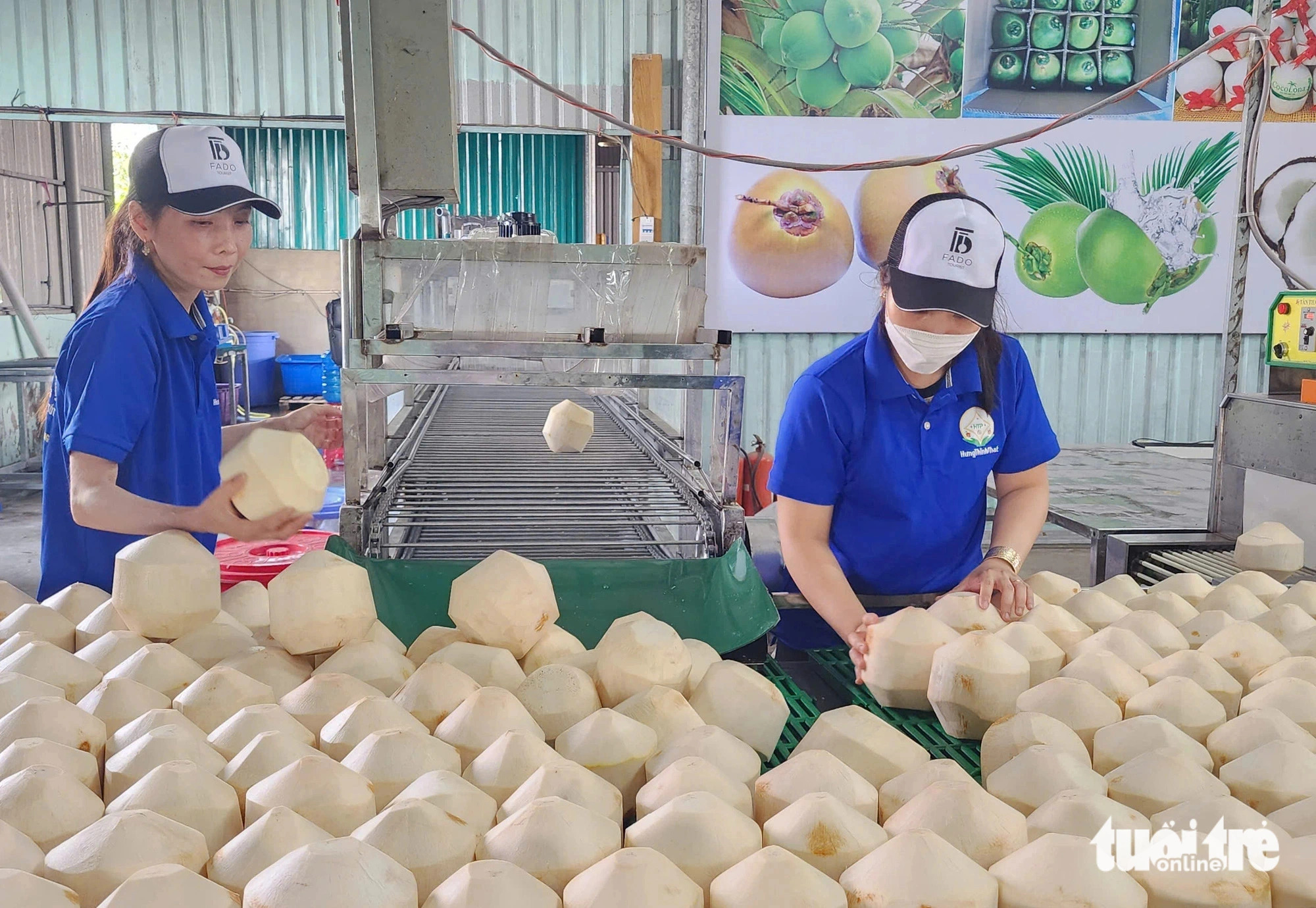 First shipment of fresh Tien Giang coconuts heads for China