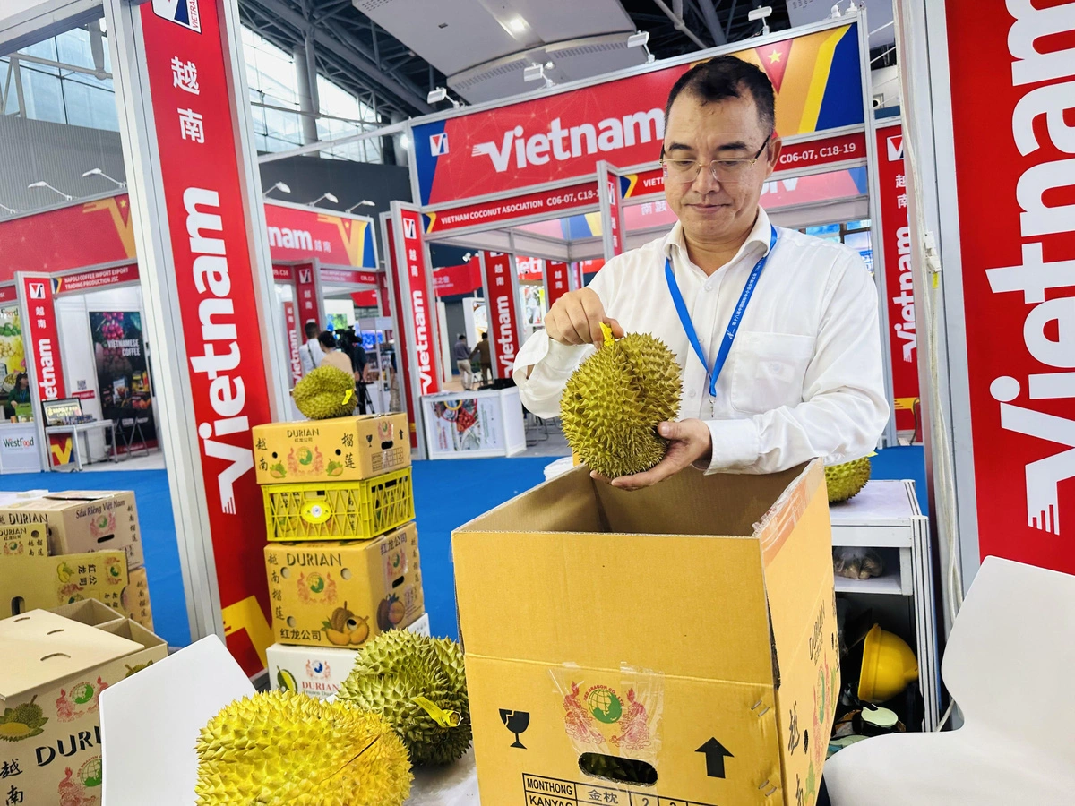 Vietnam’s durian exports hit record, imports soar over 10 times