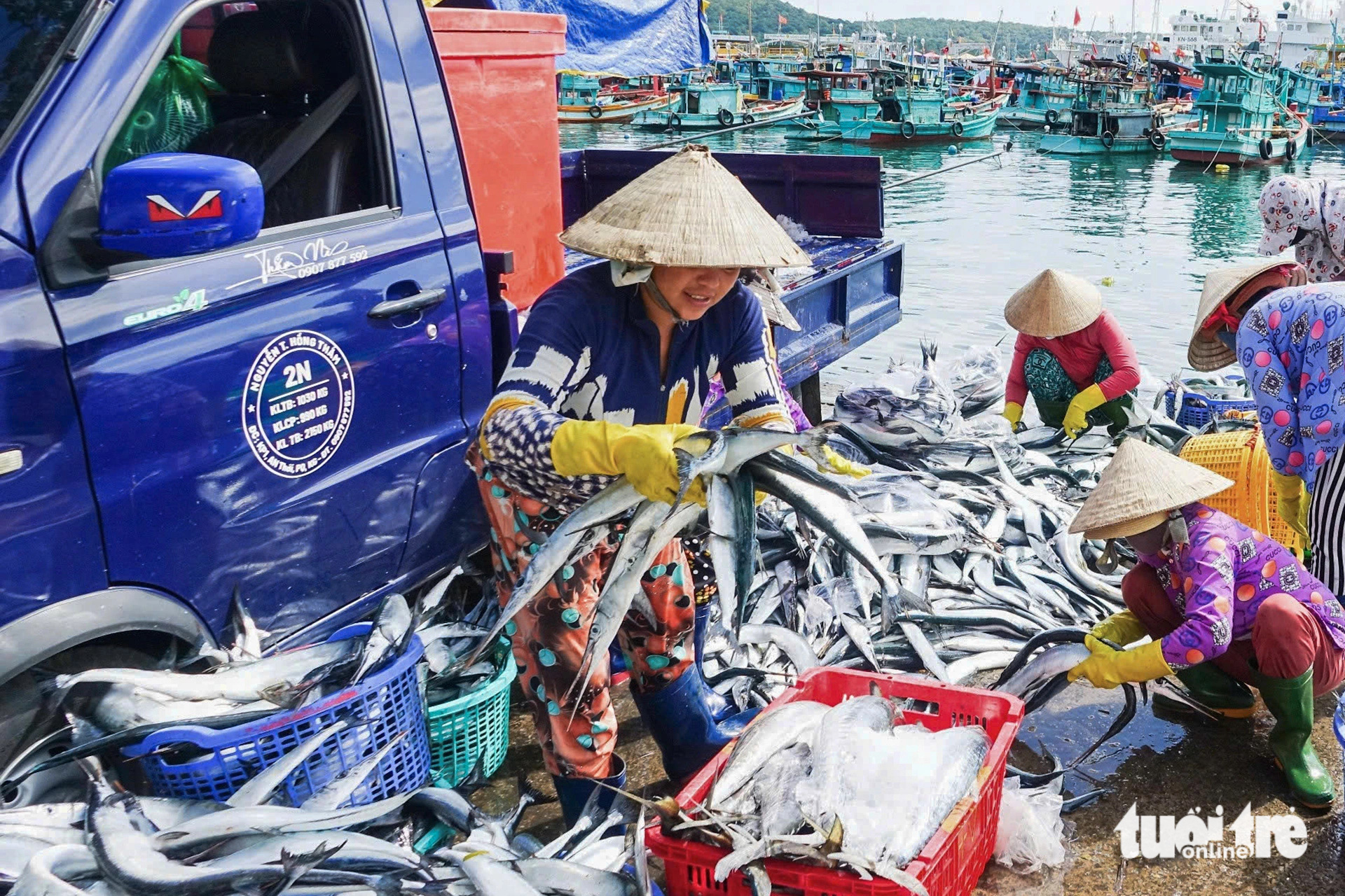 Hustle and bustle at Phu Quoc Island’s busiest fishing port