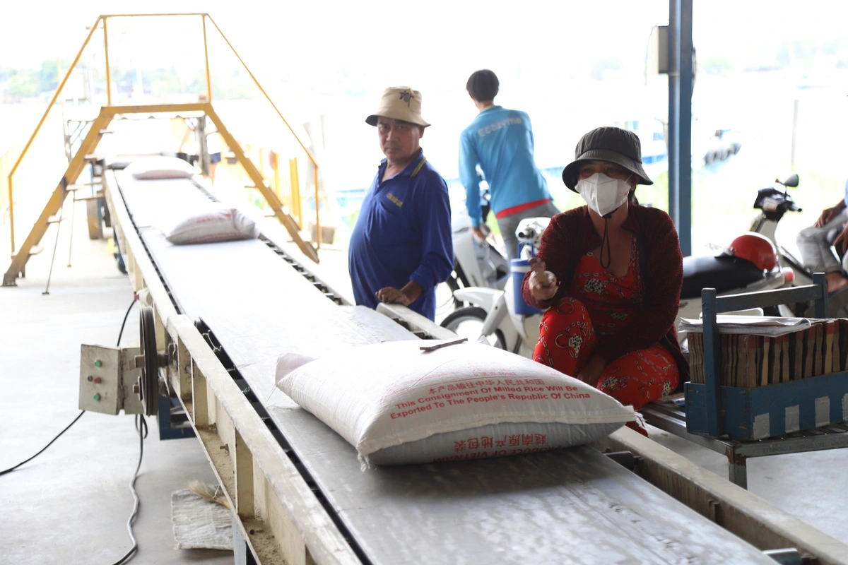 Vietnam’s rice exports to China plummet