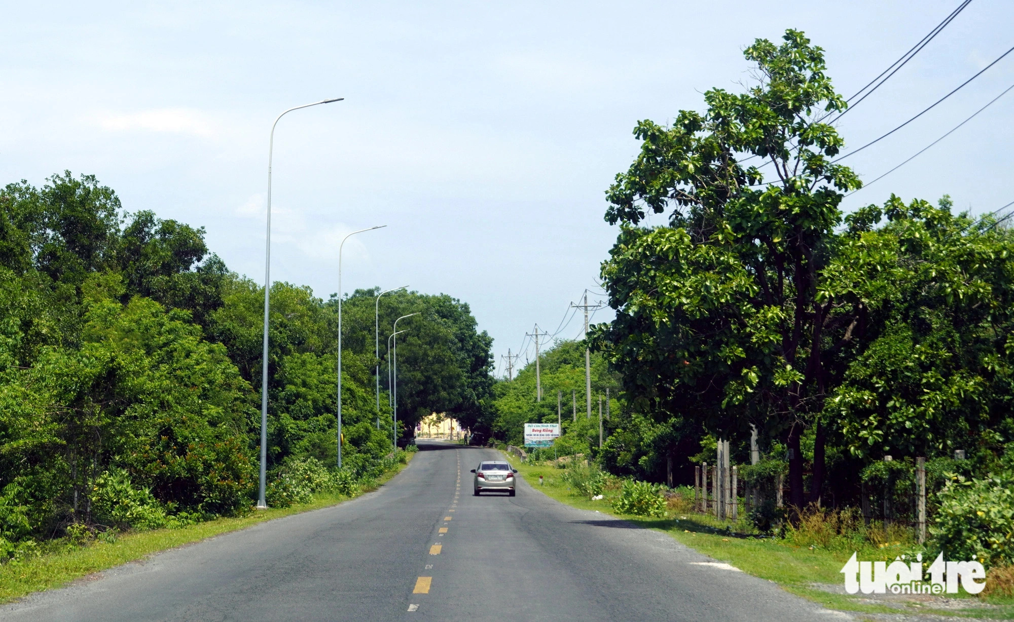 A tree-lined coastal road in Xuyen Moc District, Ba Ria - Vung Tau Province, southern Vietnam. Photo: Dong Ha / Tuoi Tre