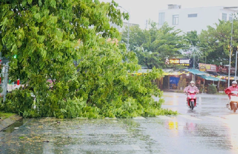 Storm Trami lands in central Vietnam posing flood risks