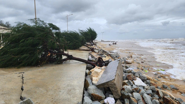 The Hoa Duan dam area in Phu Vang District, Thua Thien Hue Province, central Vietnam is devastated by strong waves caused by storm Trami, October 27, 2024. Photos: Nhat Linh / Tuoi Tre