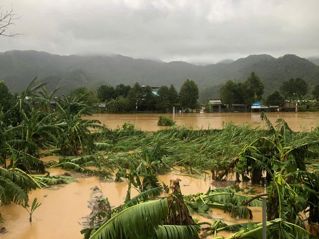 Crops are submerged by floodwaters due to storm Trami in Hoa Vang District, Da Nang City, central Vietnam, October 27, 2024. Photo: Thanh Nguyen