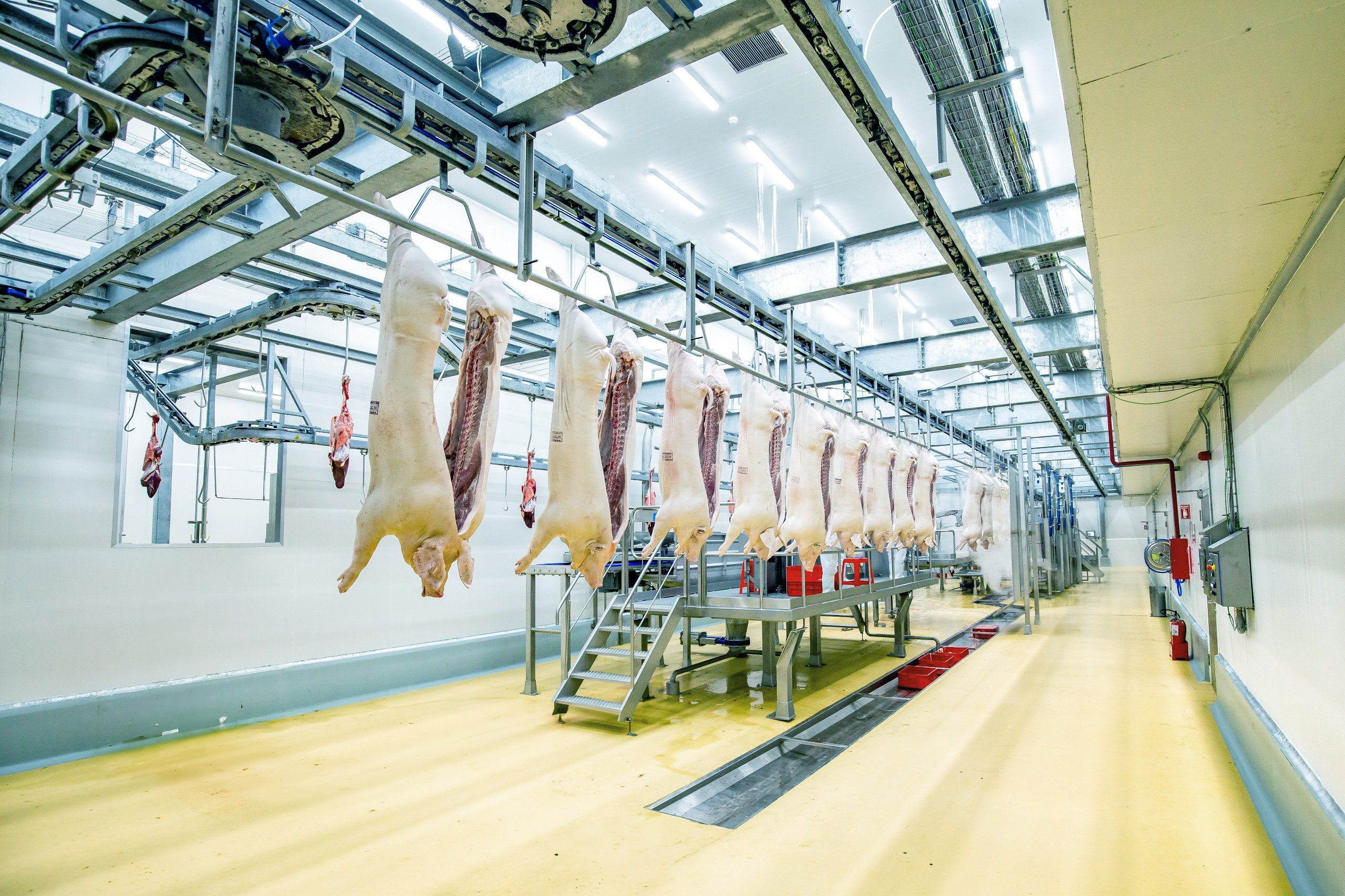 European-standard chilled meat production line at the MEATDeli processing complex in Ha Nam Province, northern Vietnam.