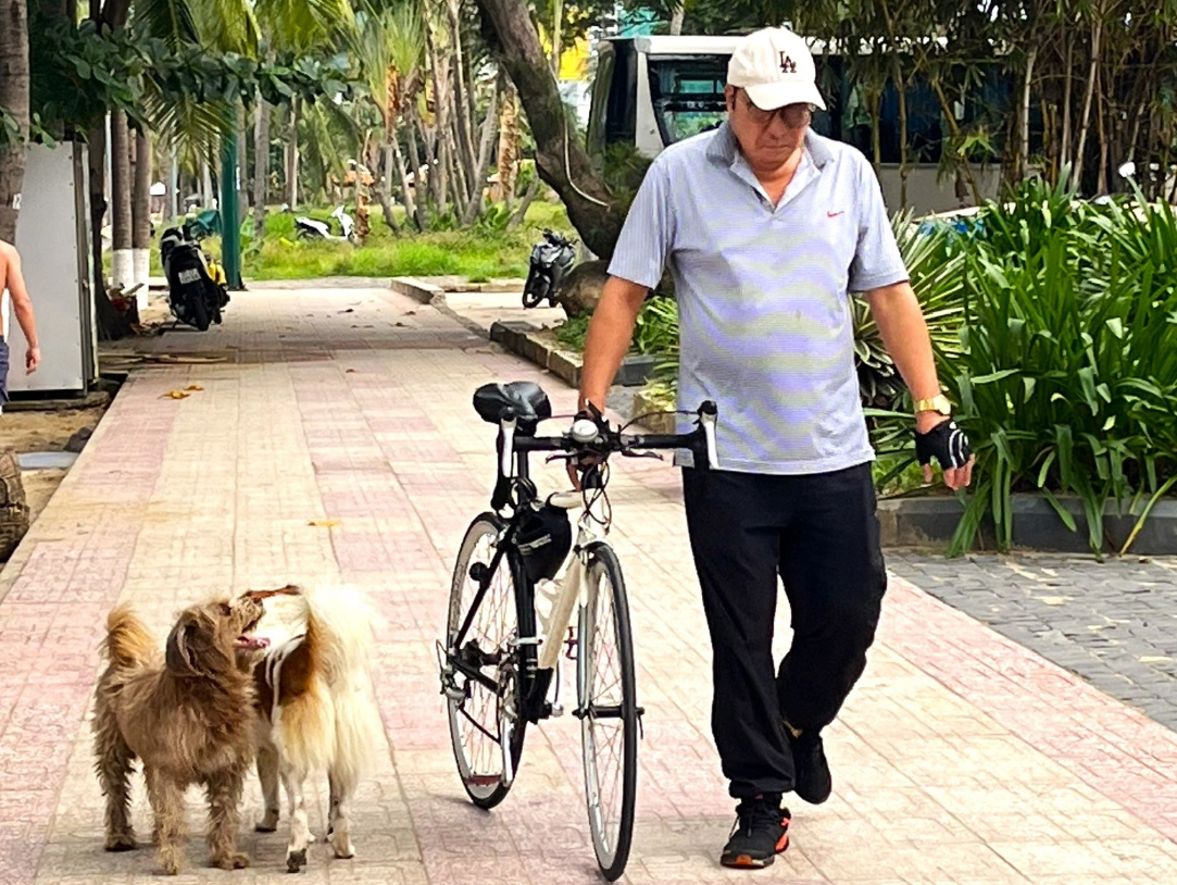 Two dogs without a muzzle roam freely in a park near a beach in Nha Trang City, Khanh Hoa Province, south-central Vietnam. Photo: Nguyen Hoang / Tuoi Tre