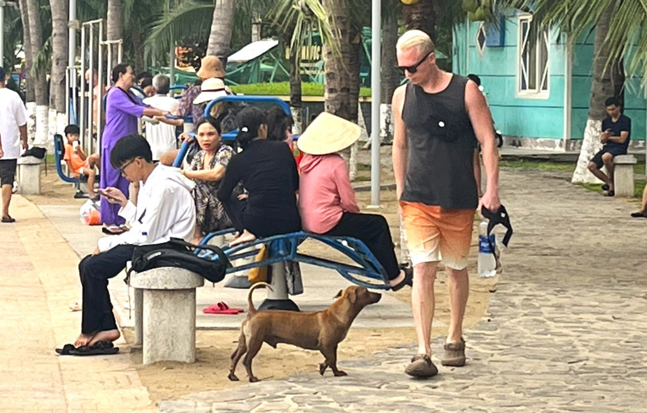 Stray dogs frighten tourists in coastal paradise Nha Trang