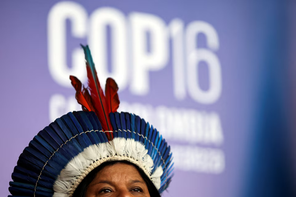 UN COP16 nature summit creates permanent body for Indigenous peoples