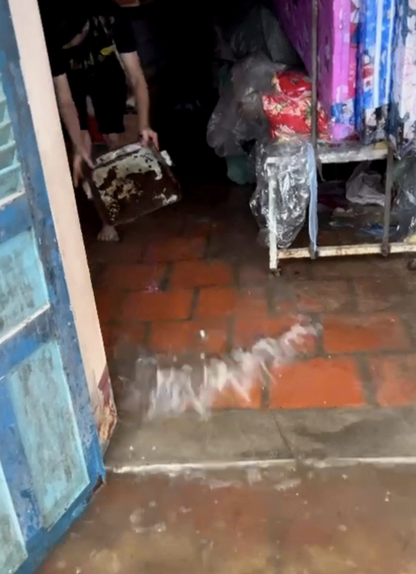 Floodwater flows into a house in Bac Lieu City, Bac Lieu Province. Photo: Tien Luan / Tuoi Tre