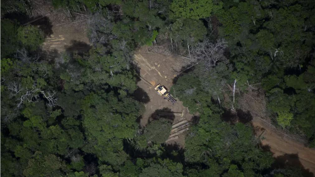 Brazil's Amazon posts lowest deforestation in nine years: govt