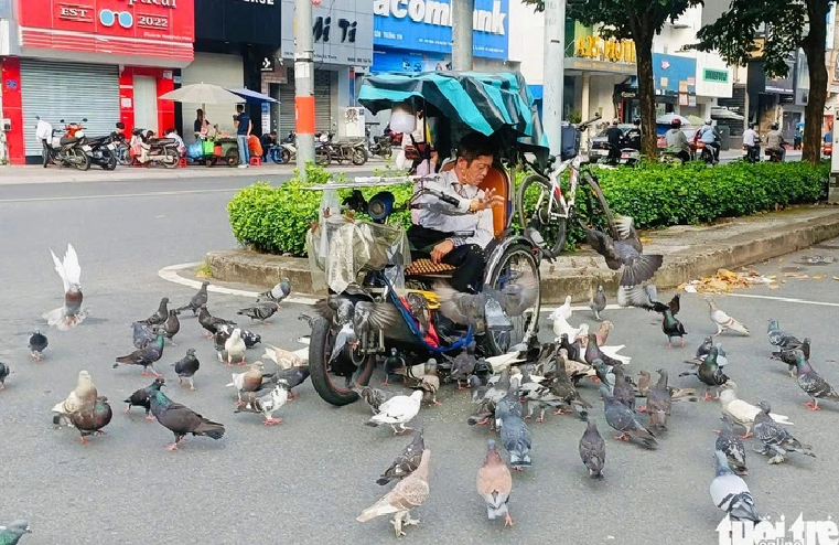 Lottery ticket vendor spends a quarter of income buying food for pigeons in Ho Chi Minh City