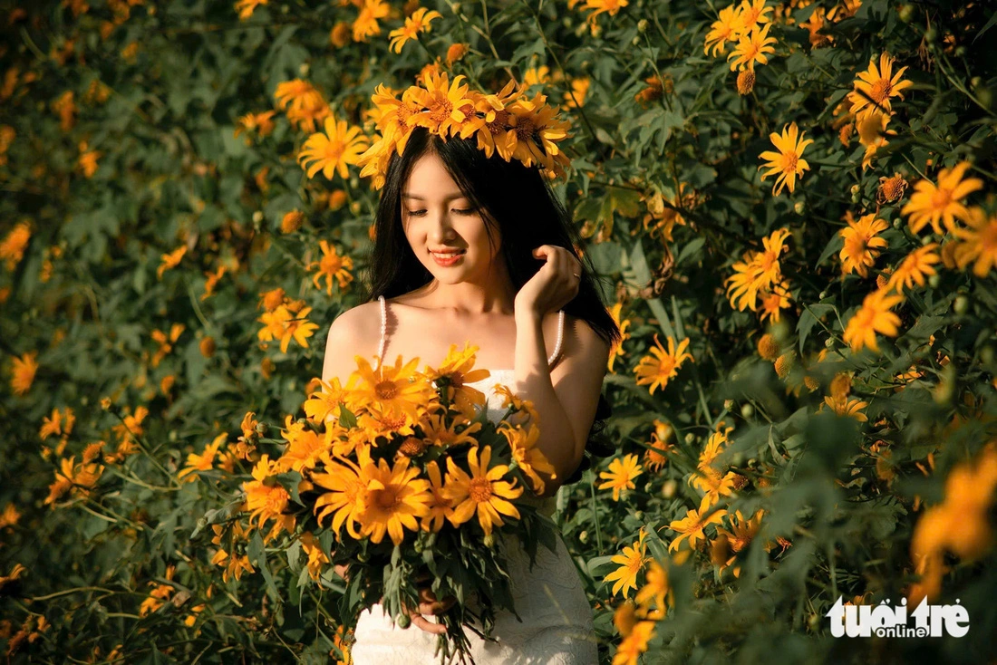 Da Lat adorned with wild sunflowers at start of blooming season