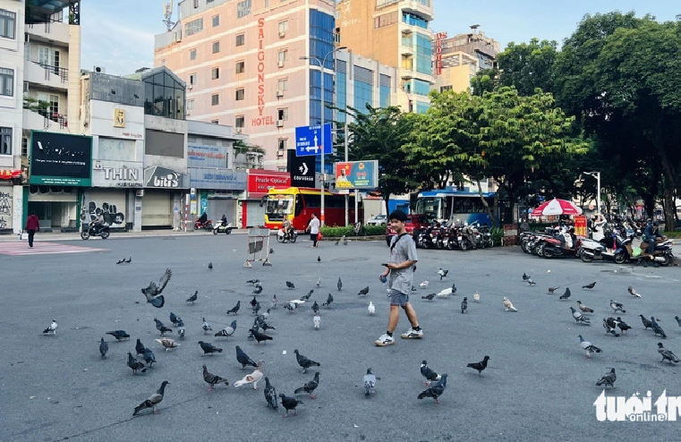 A boy walks among the pigeons at Le Van Tam Park in District 1, Ho Chi Minh City. Photo: Yen Trinh / Tuoi Tre