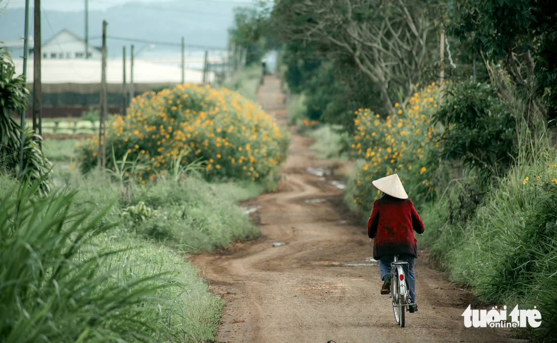 A road leading to a vegetable garden in outskirt Da Lat City, Lam Dong Province. Photo: Van Phu