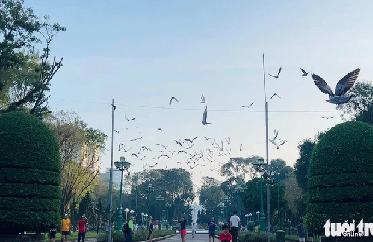 A peaceful scene at Le Van Tam Park in District 1, Ho Chi Minh City. Photo: Yen Trinh / Tuoi Tre