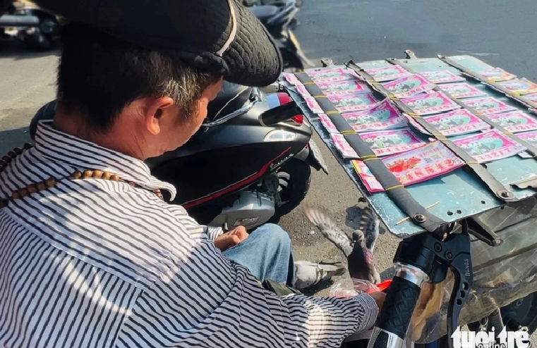 A pigeon perches next to Binh’s bag of cereals hung on his wheelchair. Photo: Yen Trinh / Tuoi Tre