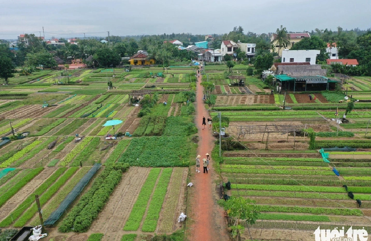 4-century-old vegetable village in central Vietnam named world’s best tourism village