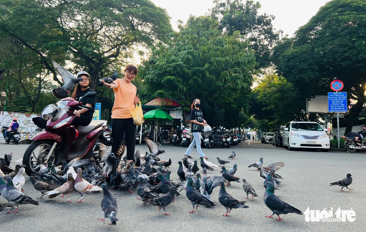 Kim Phuong (in orange T-shirt), a 49-year-old resident in Binh Thanh District, Ho Chi Minh City, often feeds pigeons at Le Van Tam Park in District 1, Ho Chi Minh City. Photo: Yen Trinh / Tuoi Tre