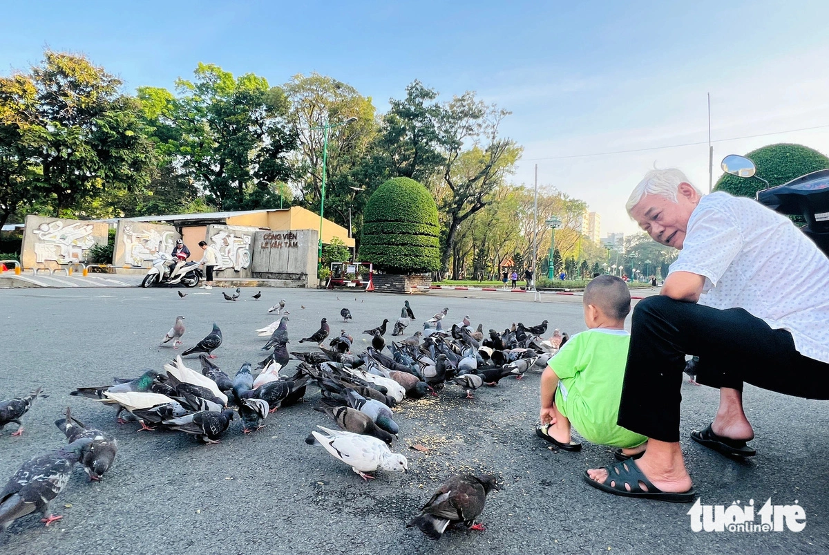 Chau (in a white shirt), a 68-year-old resident in District 3, Ho Chi Minh City, also feeds the pigeons. Photo: Yen Trinh / Tuoi Tre