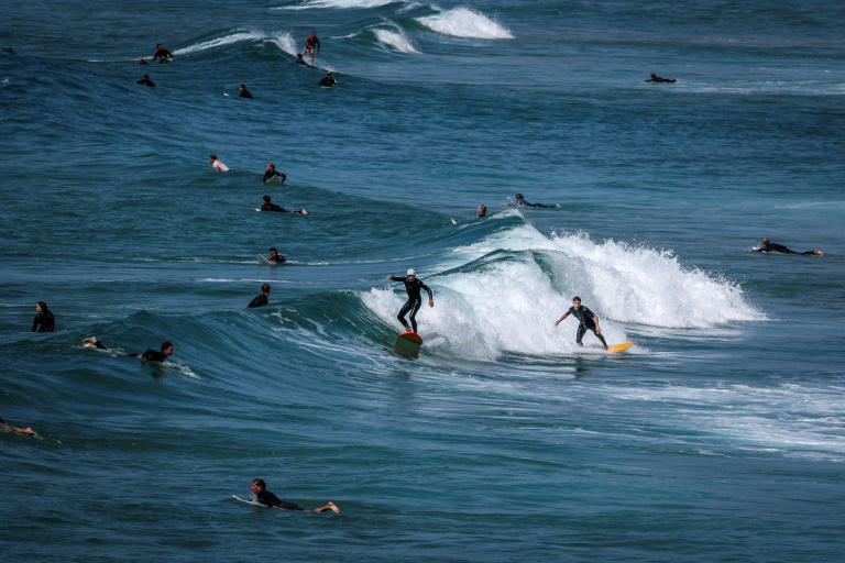 Surfboards with bright lights could deter shark attacks - researchers