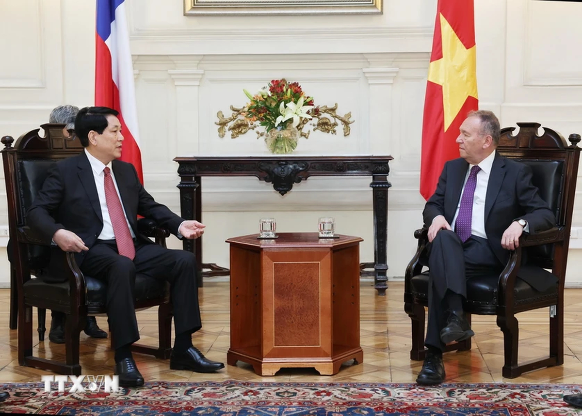 Vietnamese State President Luong Cuong (L) and President of the Chilean Senate José Garcia Ruminot are seen at their meeting in Santiago on November 11, 2024. Photo: Vietnam News Agency