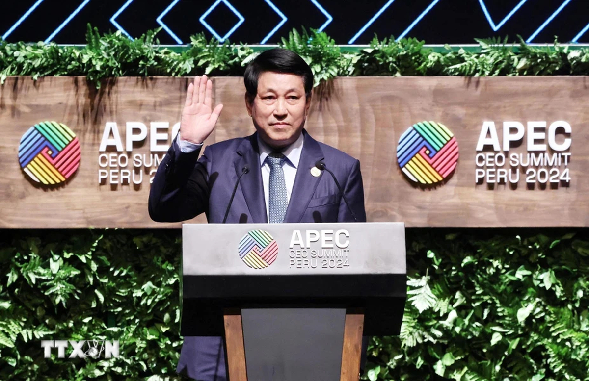 State president outlines 4 priorities, spotlights Vietnam's advantages at APEC CEO Summit 2024 in Peru