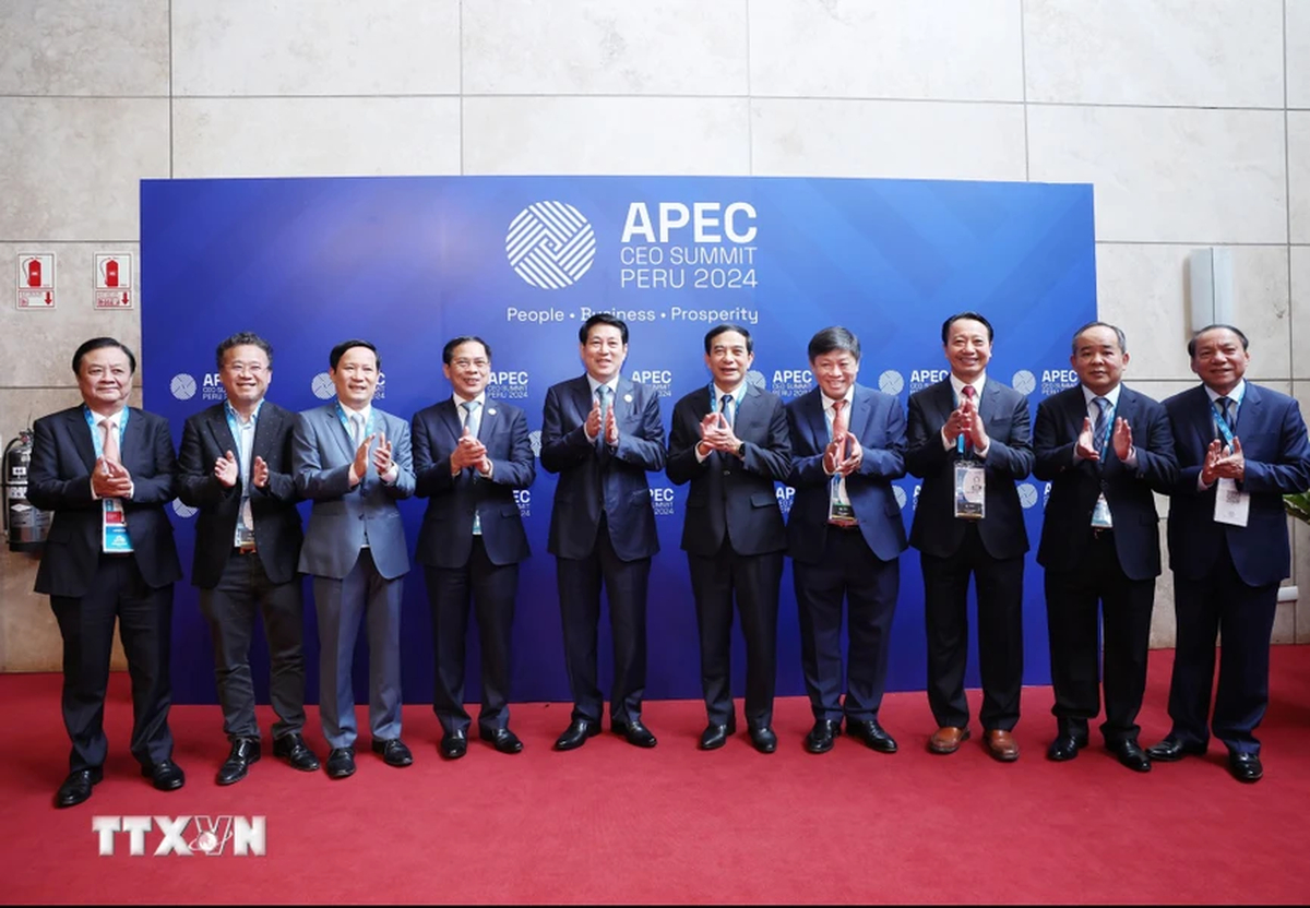 Vietnamese State President Luong Cuong (L, 5th) and other delegates pose for a photo at the APEC CEO Summit 2024 in Lima, Peru on November 14, 2024. Photo: Vietnam News Agency