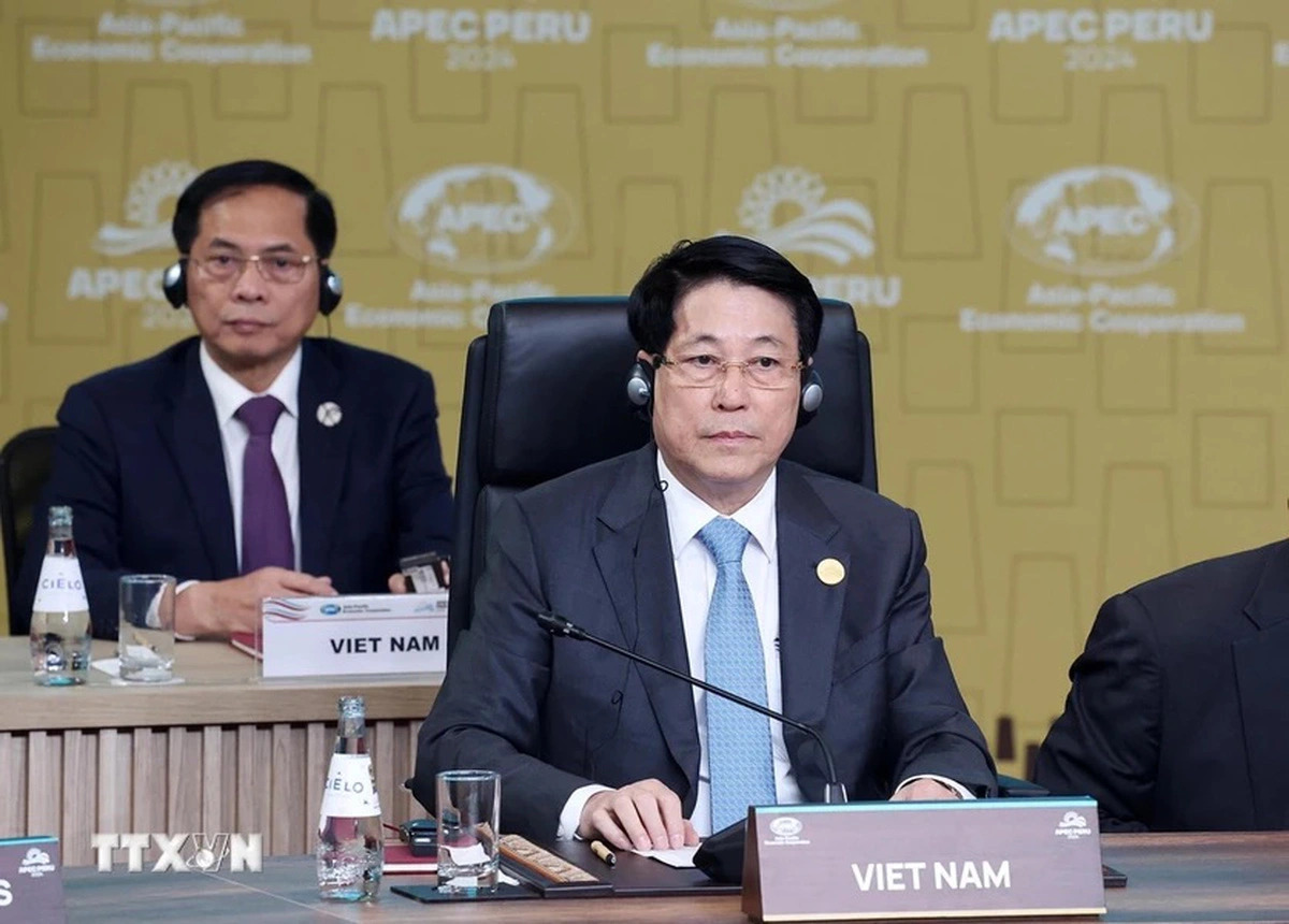 Vietnam state leader underscores 3 connectivity rules at APEC leaders’ dialogue