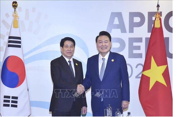 Vietnam state president meets S.Korean president, Japanese premier on APEC summit sidelines