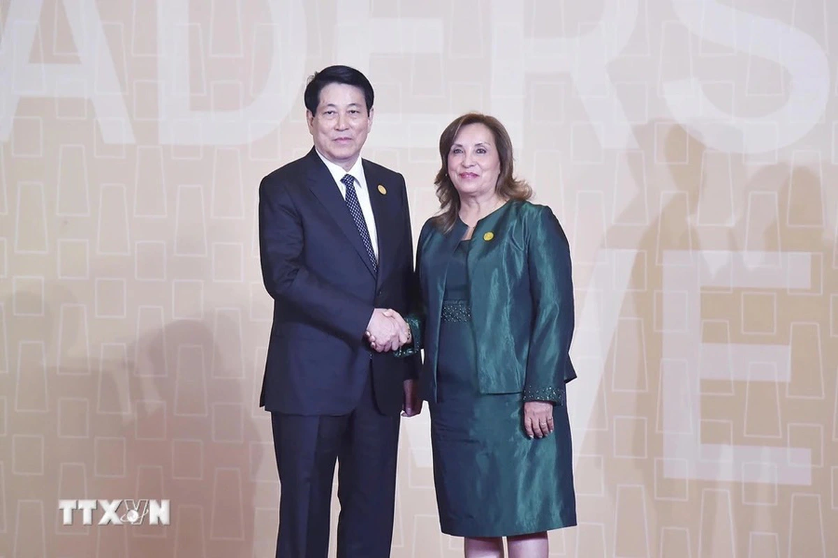 Vietnam state leader proposes 3 key cooperation orientations for APEC