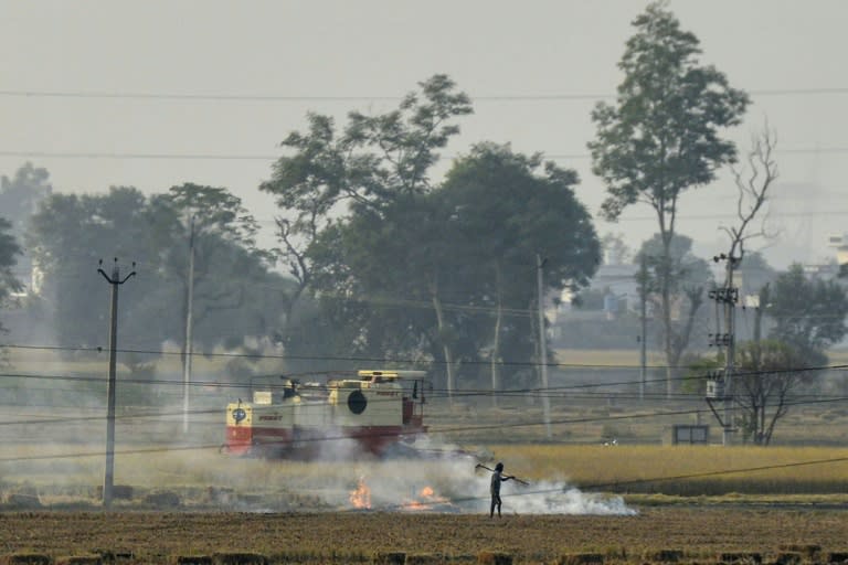 Illegal farm fires fuel Indian capital's smog misery