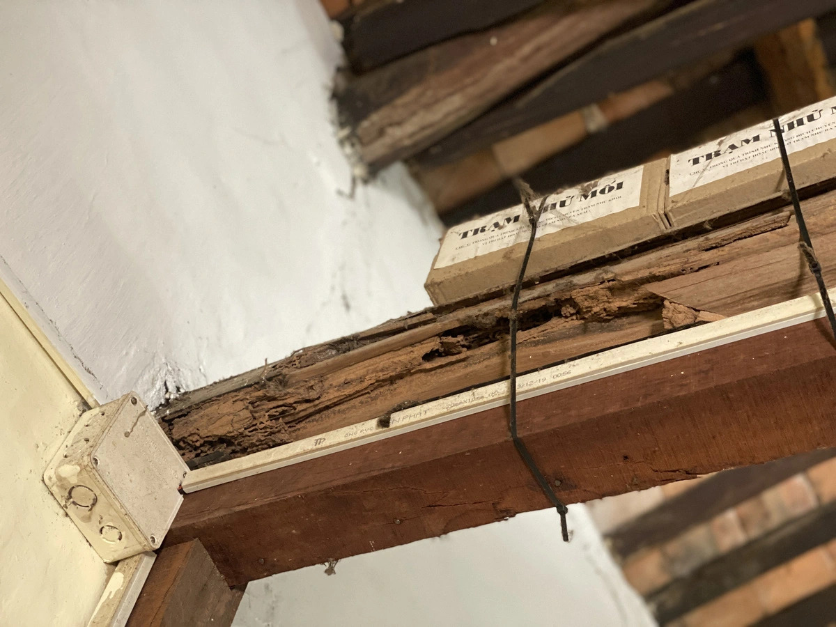 Structural components of 76/18 Tran Phu Street in Hoi An Ancient Town, central Vietnam, have been hollowed out by termites. Photo: Thai Ba Dung / Tuoi Tre