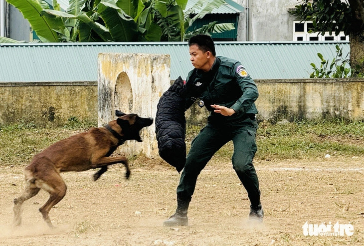 Cambodian police show off dog training techniques learned in Vietnam