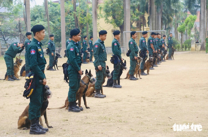 Cambodian police officers and their dogs are seen during a performance session in Hanoi on November 25, 2024. Photo: Danh Trong / Tuoi Tre